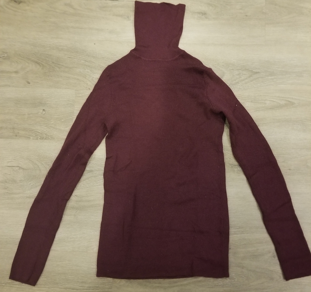 Uniqlo Turtleneck Sweater